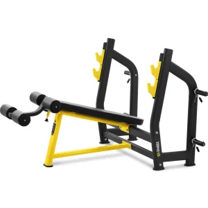 Hantelschrägbank - 135 kg - 1080 x 270 mm